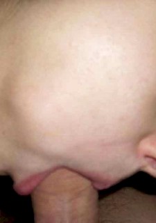 gallery of amateur GFs who like sucking on hard dicks