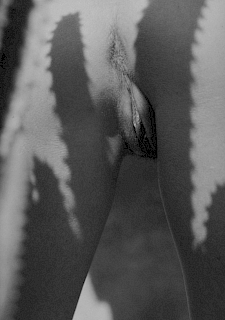 Erotic Retro Photos With Bobbi Brown