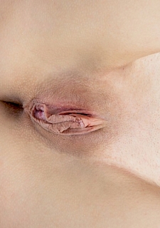 Cuscin