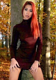 Winter Is Coming