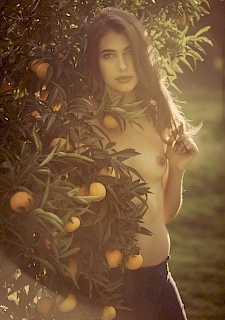 Katrine Pirs In Sunswept